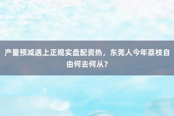 产量预减遇上正规实盘配资热，东莞人今年荔枝自由何去何从？