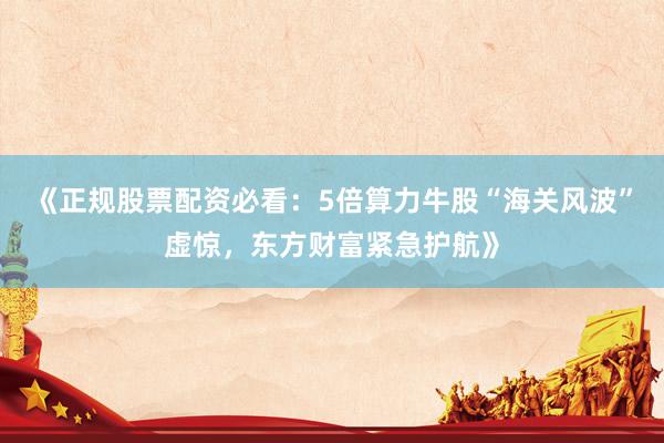 《正规股票配资必看：5倍算力牛股“海关风波”虚惊，东方财富紧急护航》