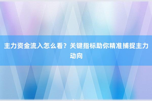 主力资金流入怎么看？关键指标助你精准捕捉主力动向