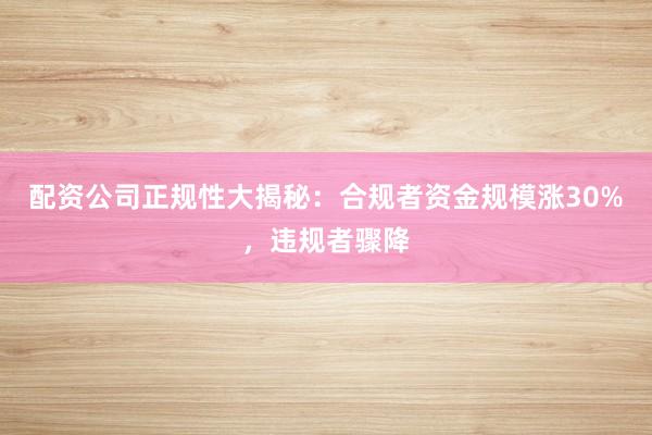 配资公司正规性大揭秘：合规者资金规模涨30%，违规者骤降